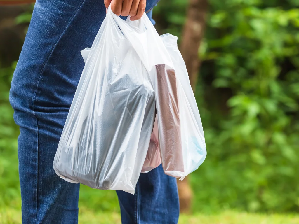 Bolsa de compras compostable.